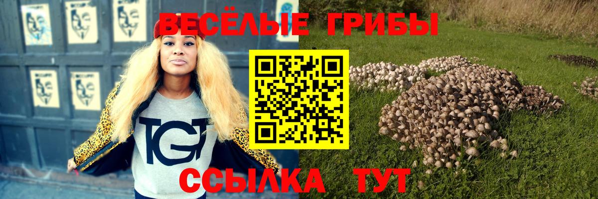 Псилоцибиновые грибы ЛСД  Вход с VPN  Сергиев Посад 